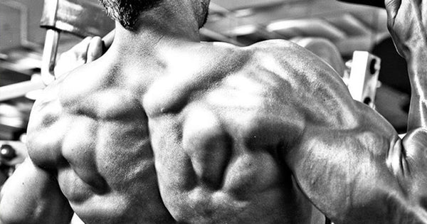 Back Exercises You Don't Do, And Probably Should