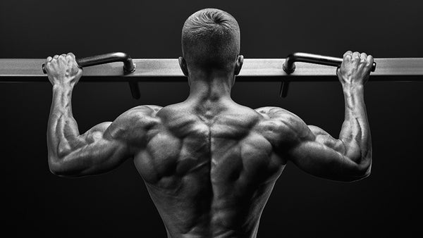 21 Best Chin-Up and Pull-Up Variations for a Bigger and Stronger Back