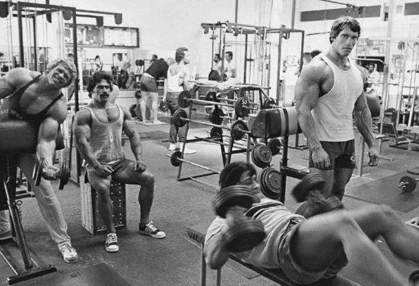 mišići urea aminokiseline